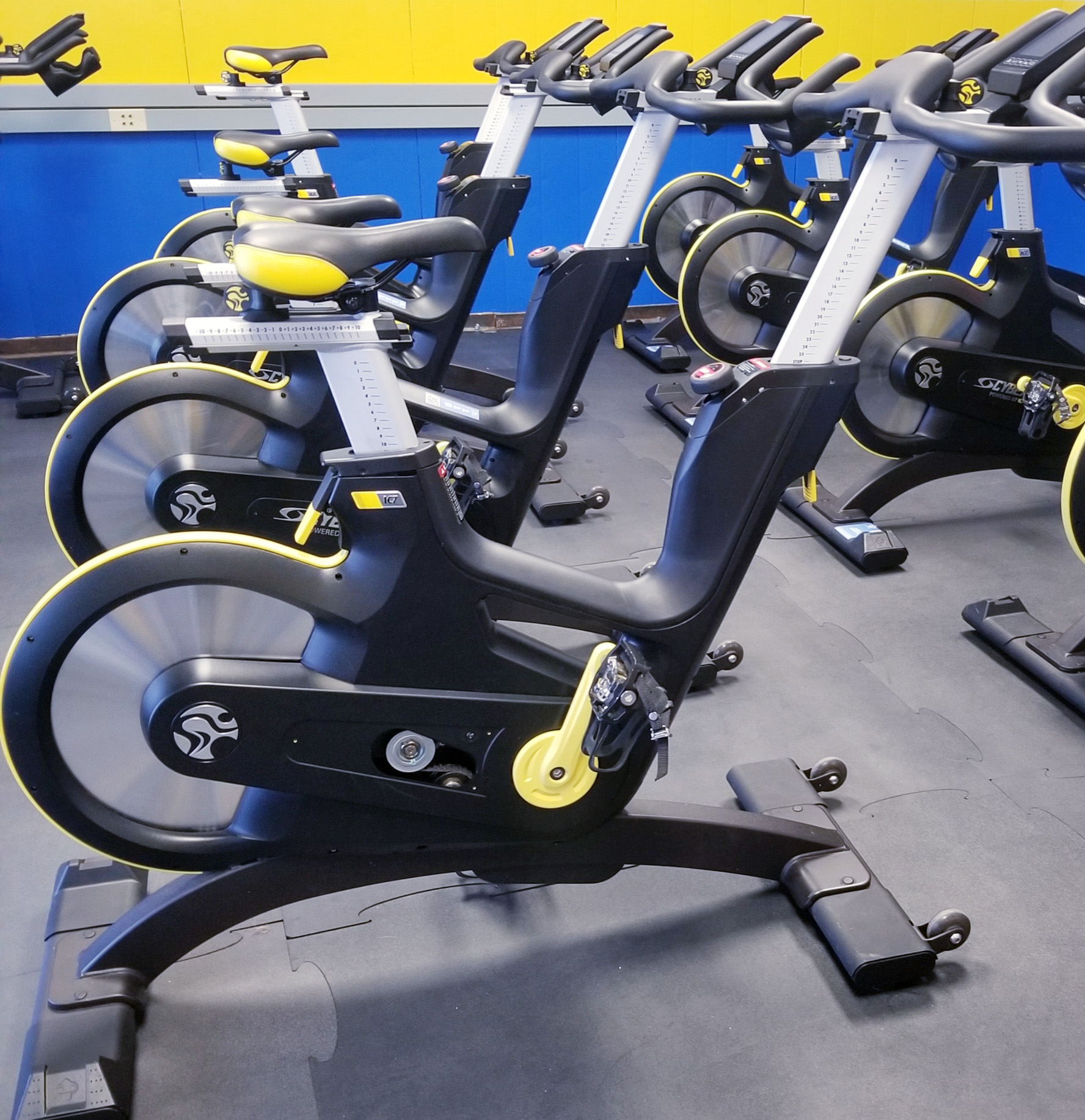 Fitness equipment discount rental near me